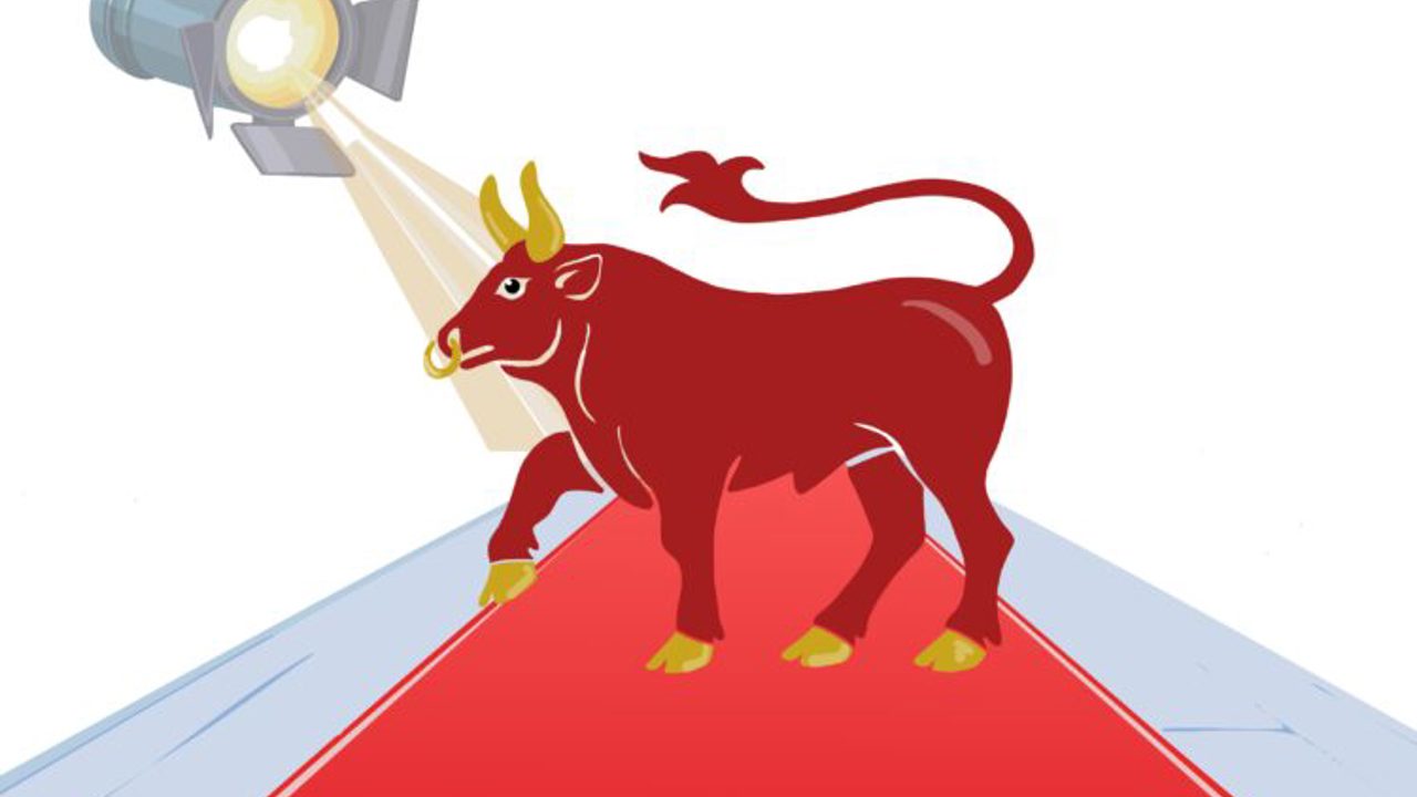 Tjuren Pa Roda Mattan 002 750X512