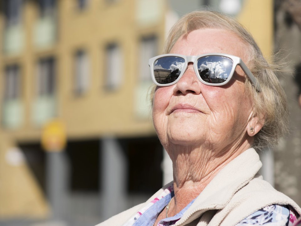 Dam i solsken 960x720