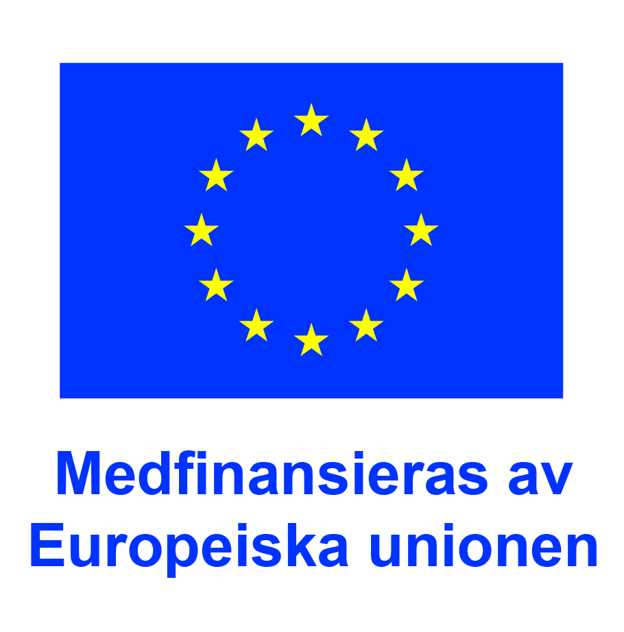 EU-flaggan med texten Medfinansieras av Europeiska unionen