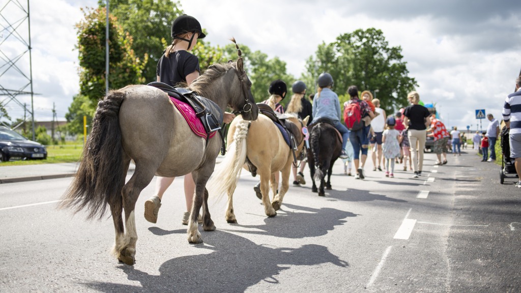 Hästar och människor promenerar på väg