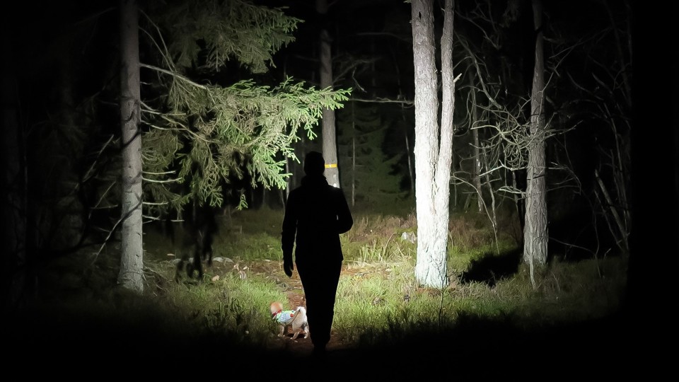 Sunnanå Hamnslingan Reflexbana 20211103