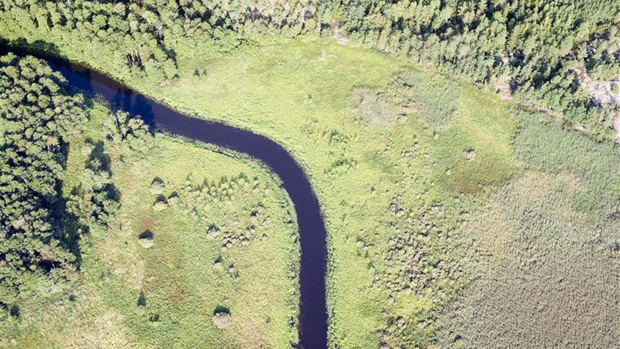 Holmsån Del 2
