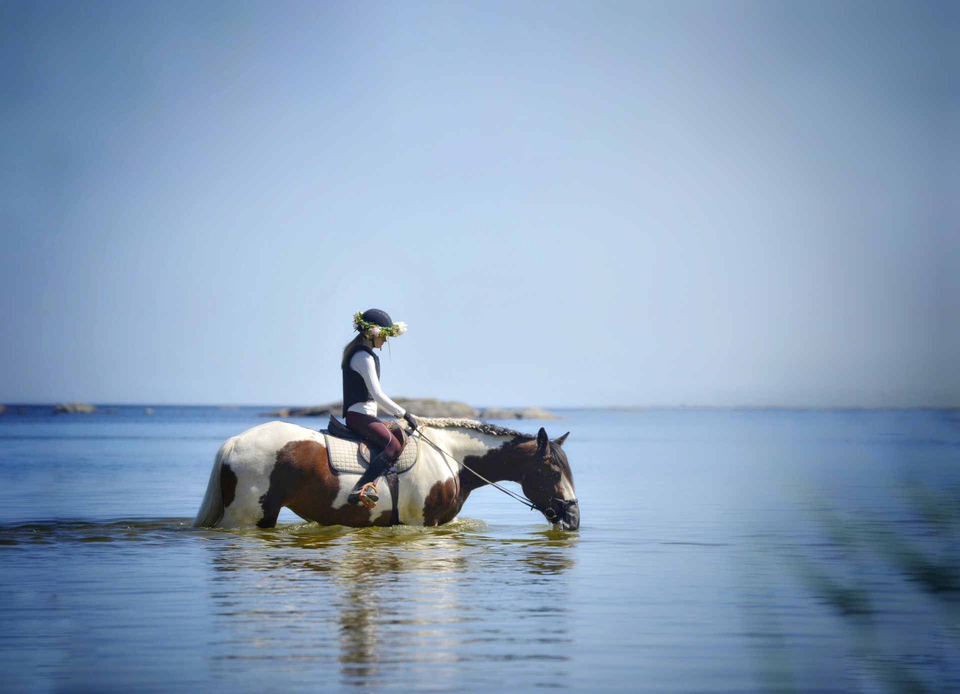 Flicka rider på häst i vattnet