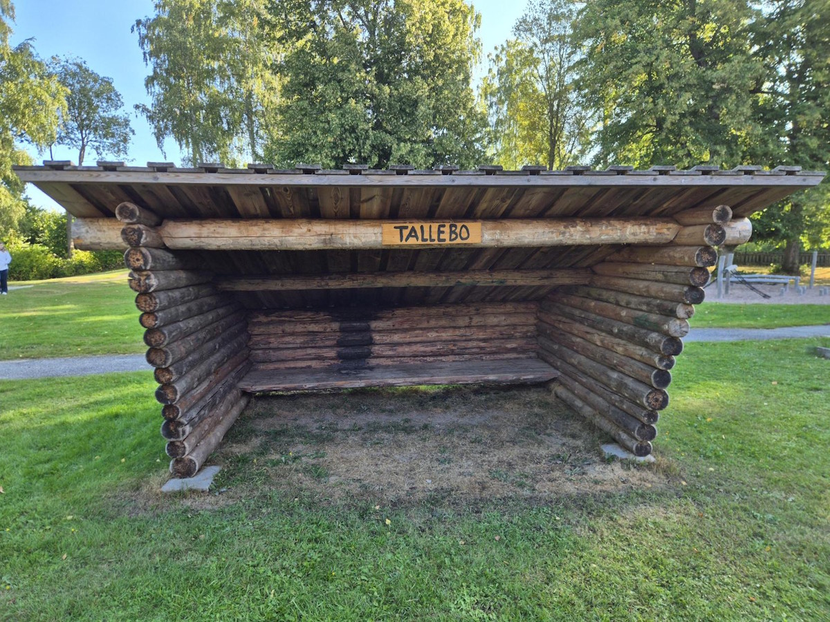 Tallåsen 5