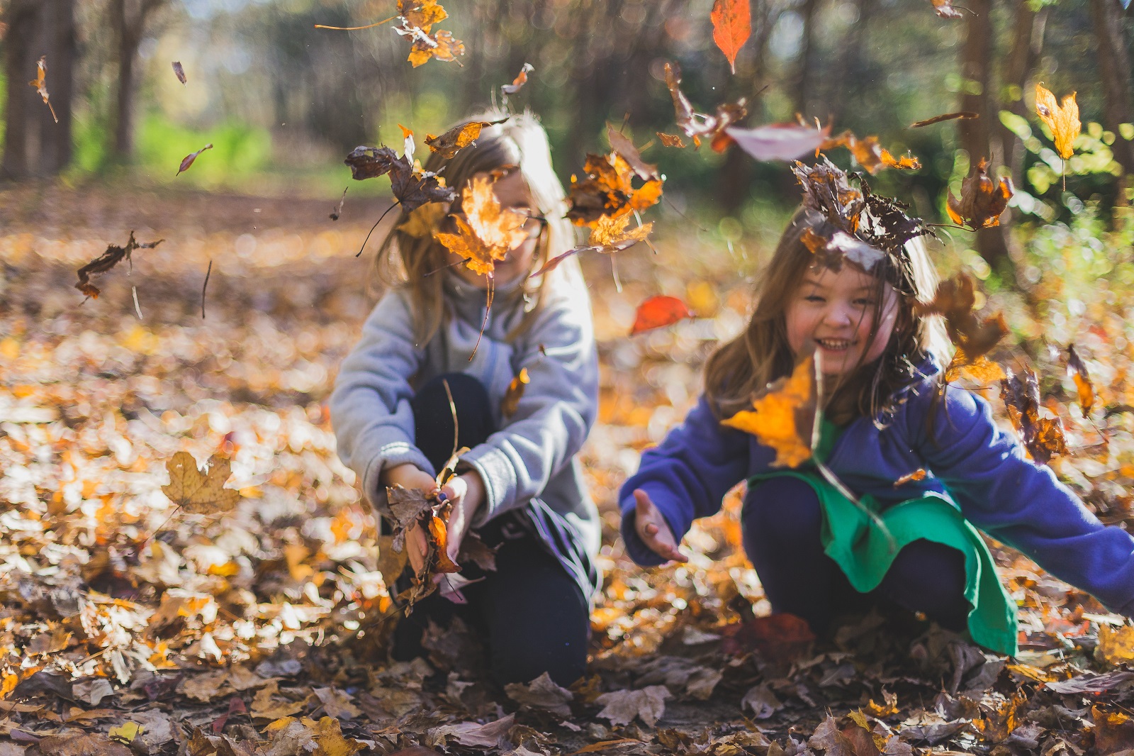 Två yngre barn leker bland höstlöv