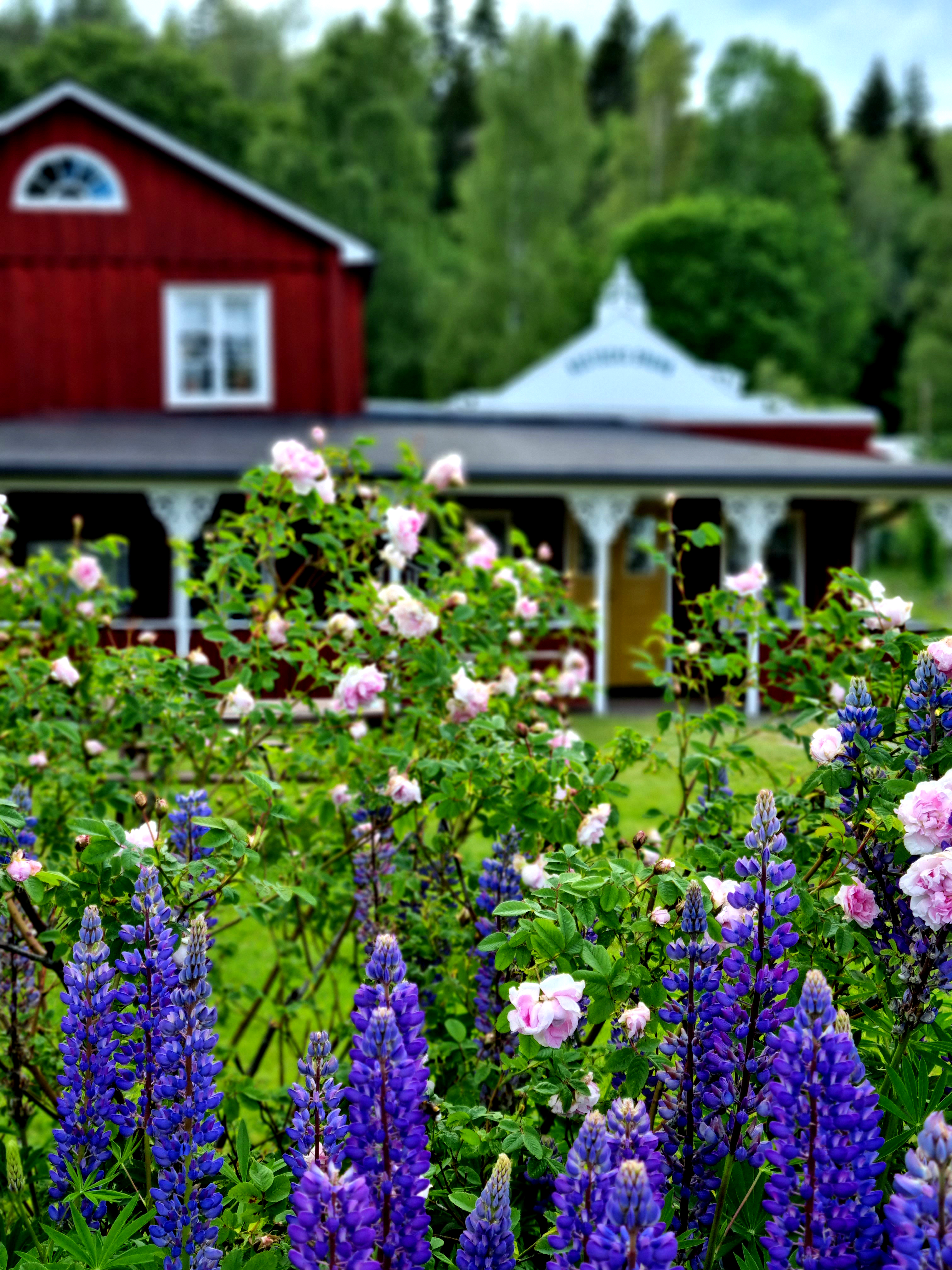 Sommarrabatt i Brunnsparken, Dals Rostock