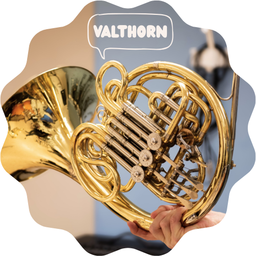 Bild på ett valthorn mot en blå klassrumsvägg