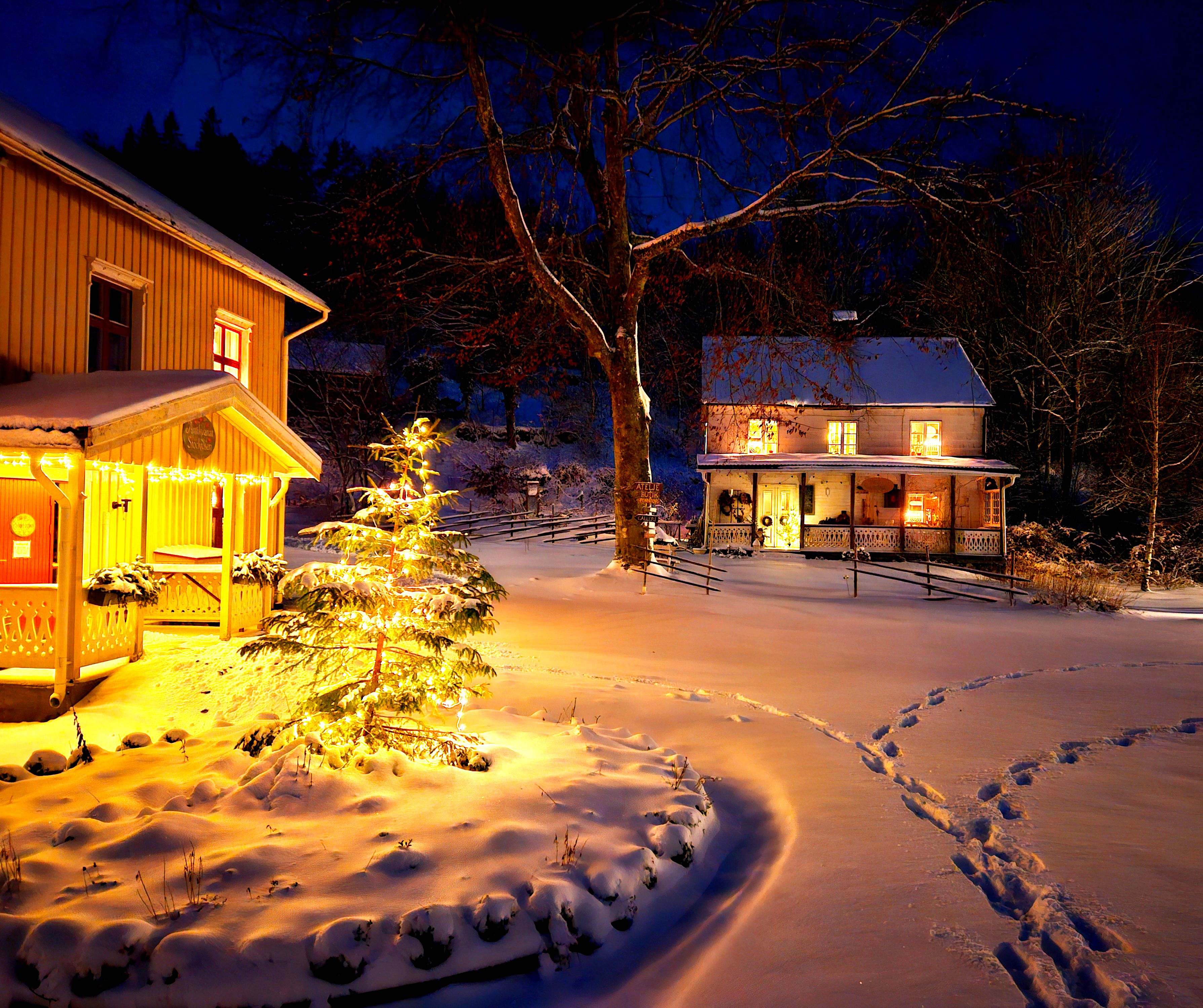 Vinter i Brunnsparken, Dals Rostock