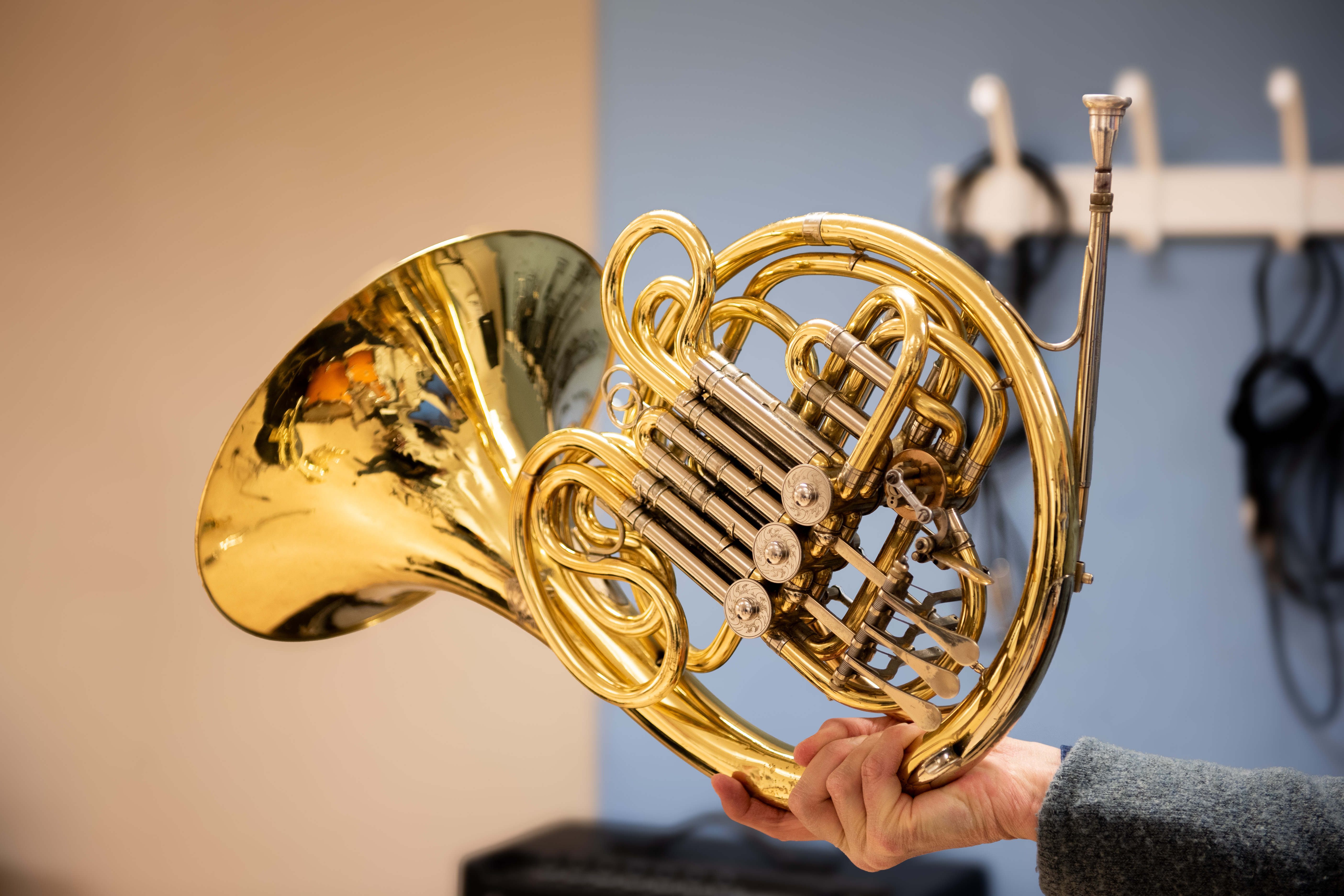 Bild på ett valthorn mot en blå klassrumsvägg