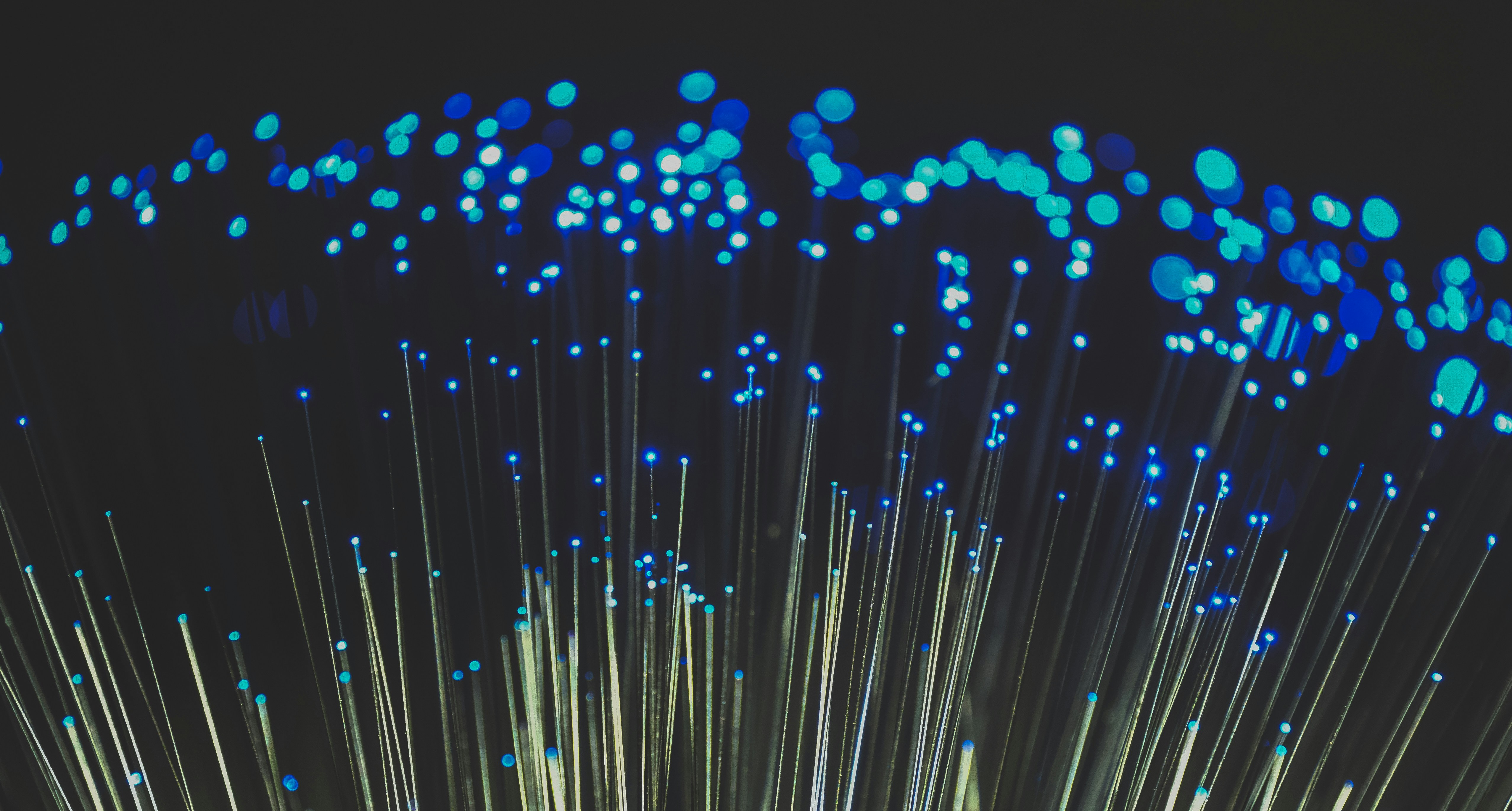 Bild på fiber